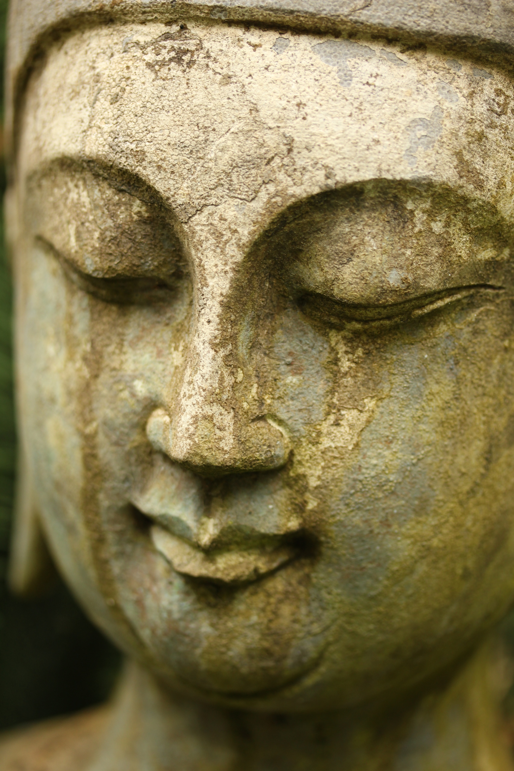 Buddha-Statue in einem botanischen Garten als Symbol für Frieden und den Kampf, einen großen Garten zu besitzen.